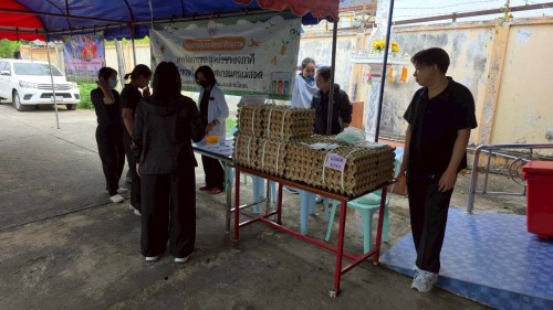 ทน.แม่สอด จัดโครงการอบรมการพัฒนาศักยภาพการจัดการขยะมูลฝอยของภาคีเครือข่ายในพื้นที่เทศบาลนครแม่สอด ประจำปีงบประมาณ 2568