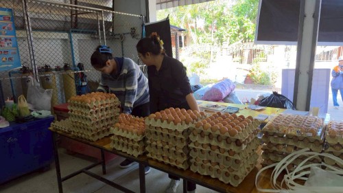 ทน.แม่สอด จัดโครงการอบรมการพัฒนาศักยภาพการจัดการขยะมูลฝอยของภาคีเครือข่ายในชุมชนบ้านเหนือสามัคคีพื้นที่เทศบาลนครแม่สอด ประจำปีงบประมาณ 2569