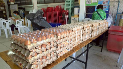 ทน.แม่สอด จัดโครงการอบรมการพัฒนาศักยภาพการจัดการขยะมูลฝอยของภาคีเครือข่ายในชุมชนบ้านเหนือสามัคคีพื้นที่เทศบาลนครแม่สอด ประจำปีงบประมาณ 2569