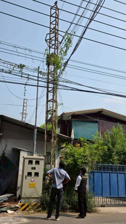 LINE_ALBUM_งานทั่วไป4_260306_85